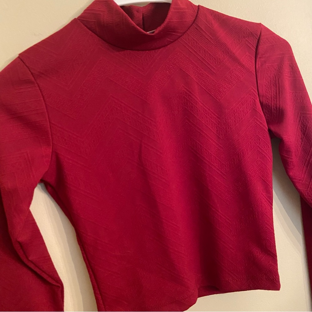 Snap Brand Long Sleeve Crop Top